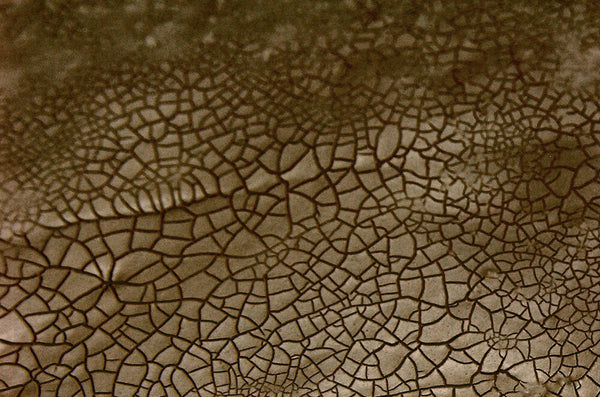 AK Interactive Dry Crackle Effects 100ml