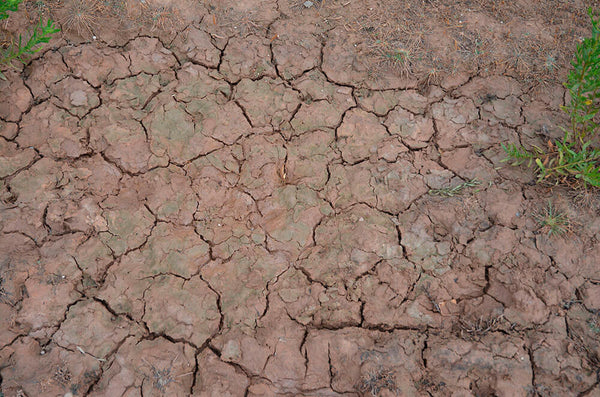 AK Interactive Wet Crackle Effects 100ml