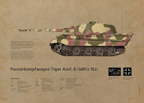 Wall Poster 50x70cm Tiger II Brown paper